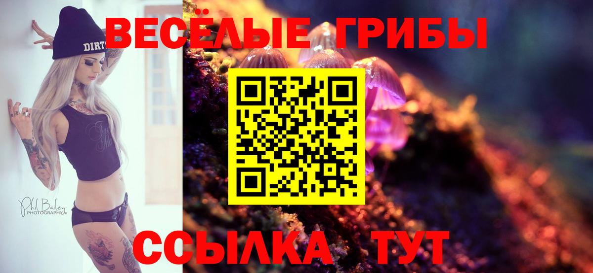 Меф МЯУ МЯУ кристаллы  APVP СОЛЬ кристаллы  Экстази  ГАШ  Купить закладку  Богородицк  Марихуана  ГАШИШ  Вход с VPN 